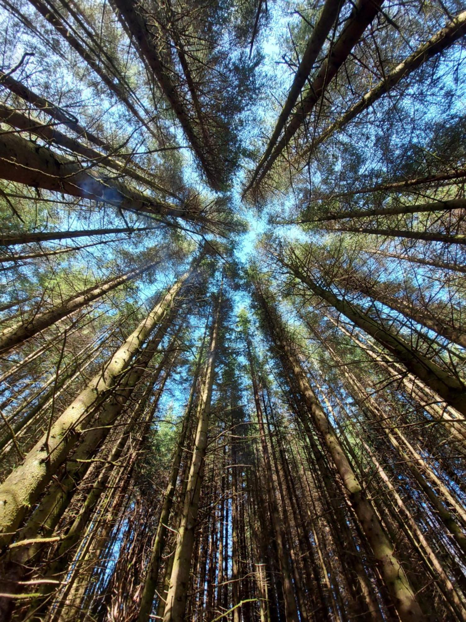Seren Garden Pod Форт-Вільям Екстер'єр фото